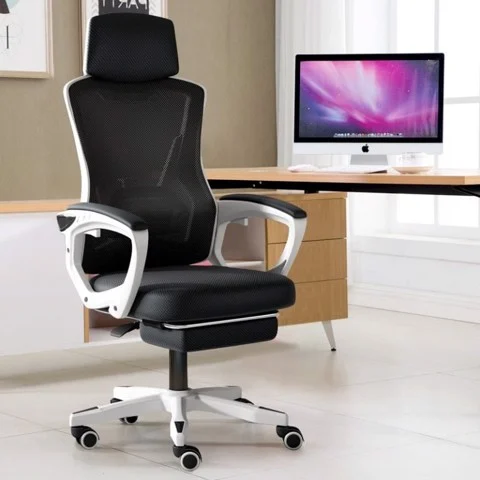 Ghế Công Thái Học Cao Cấp TMS06
